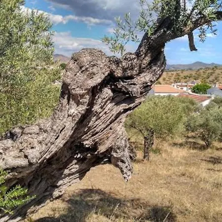 El Olivar De Concha, Caminito Del Rey Holiday home