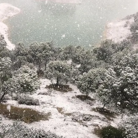 El Olivar De Concha, Caminito Del Rey Alora